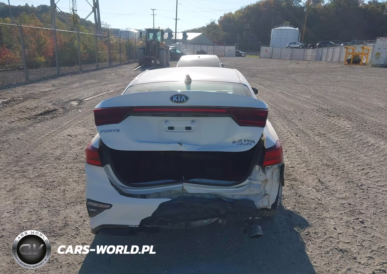 2019 Kia Forte Lxs VIN:3KPF24AD3KE110791 - 17