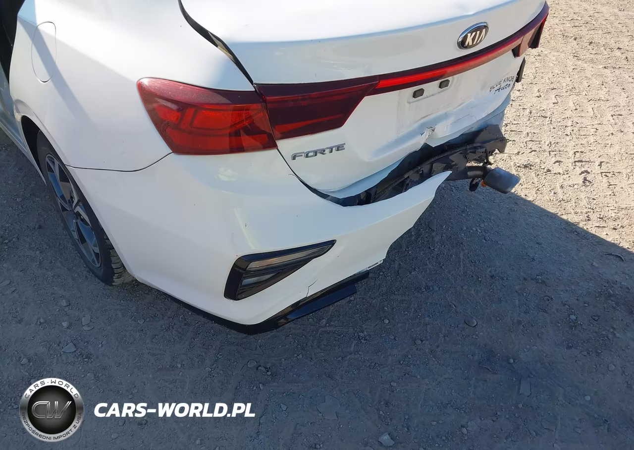 2019 Kia Forte Lxs VIN:3KPF24AD3KE110791 - 18