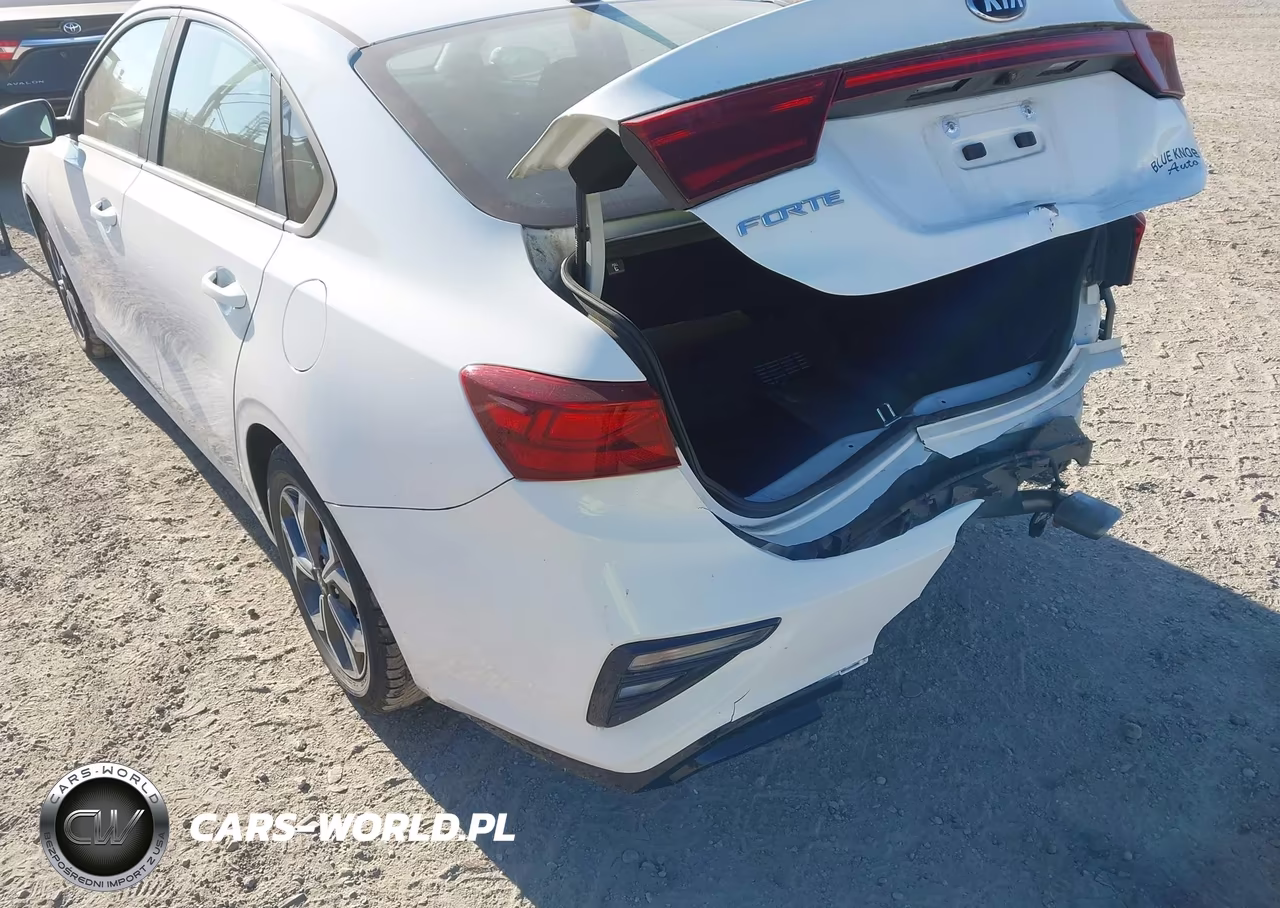 2019 Kia Forte Lxs VIN:3KPF24AD3KE110791 - 19