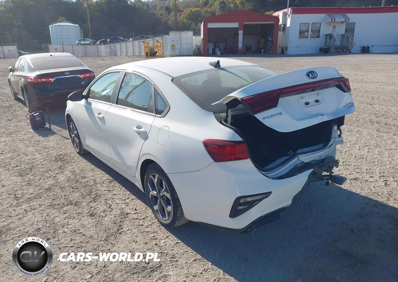 2019 Kia Forte Lxs VIN:3KPF24AD3KE110791 - 3