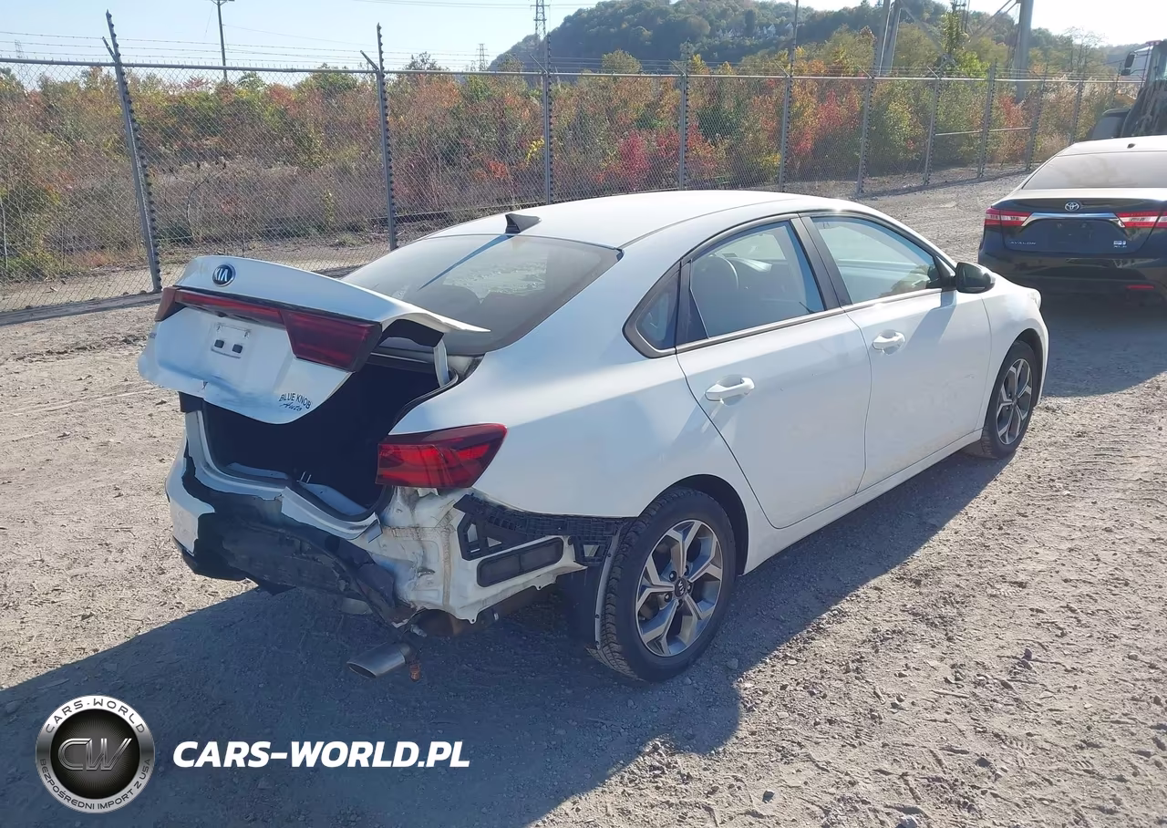 2019 Kia Forte Lxs VIN:3KPF24AD3KE110791 - 4