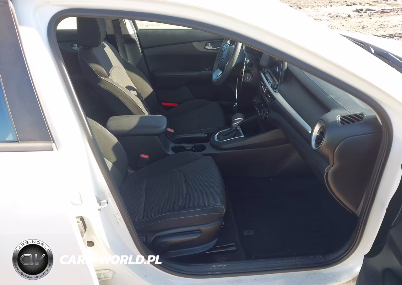 2019 Kia Forte Lxs VIN:3KPF24AD3KE110791 - 5