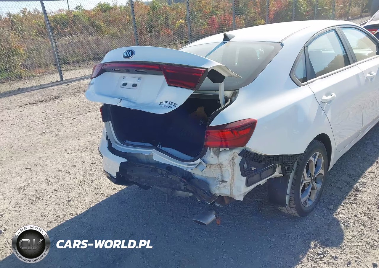 2019 Kia Forte Lxs VIN:3KPF24AD3KE110791 - 6