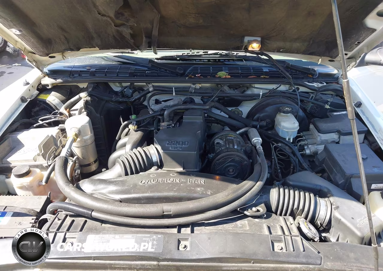 1998 Chevrolet S-10 Ls Fleetside VIN:1GCCS1947W8212164 - 10