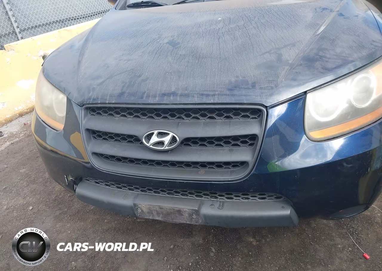 2009 Hyundai Santa Fe Gls VIN:5NMSG73D09H263467 - 6