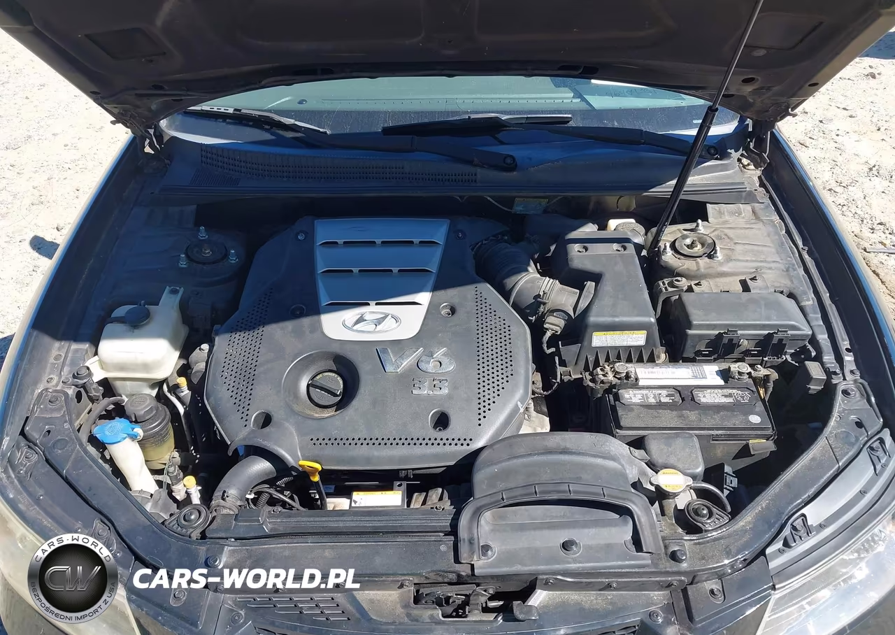 2006 Hyundai Sonata Gls V6-Lx V6 VIN:5NPEU46F06H023187 - 10