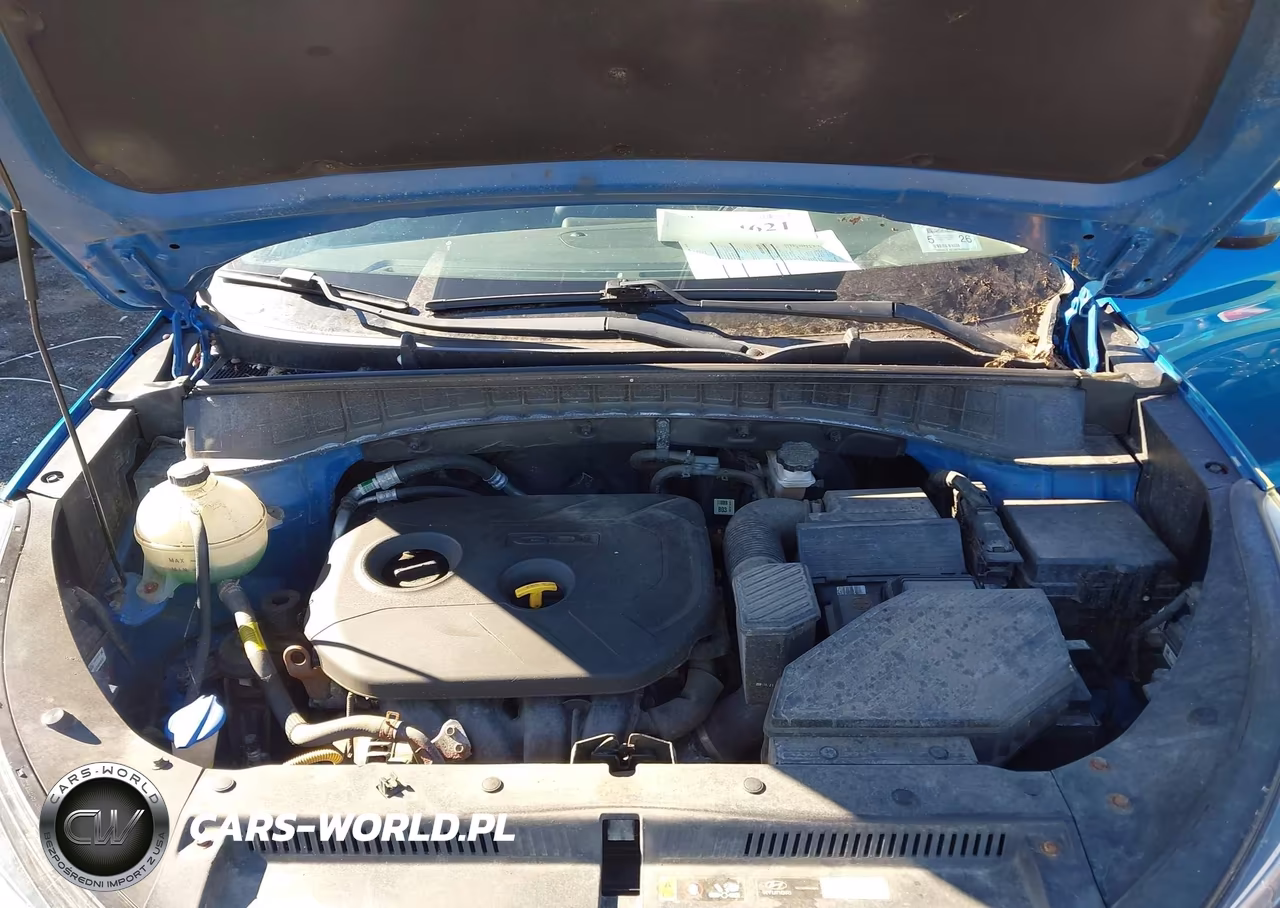 2019 Hyundai Tucson Se VIN:KM8J2CA41KU909003 - 10