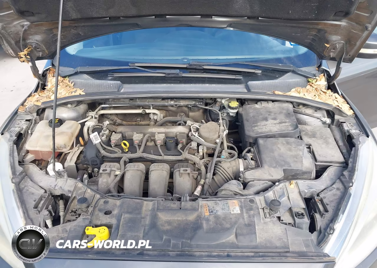 2015 Ford Focus Se VIN:1FADP3F2XFL207693 - 10