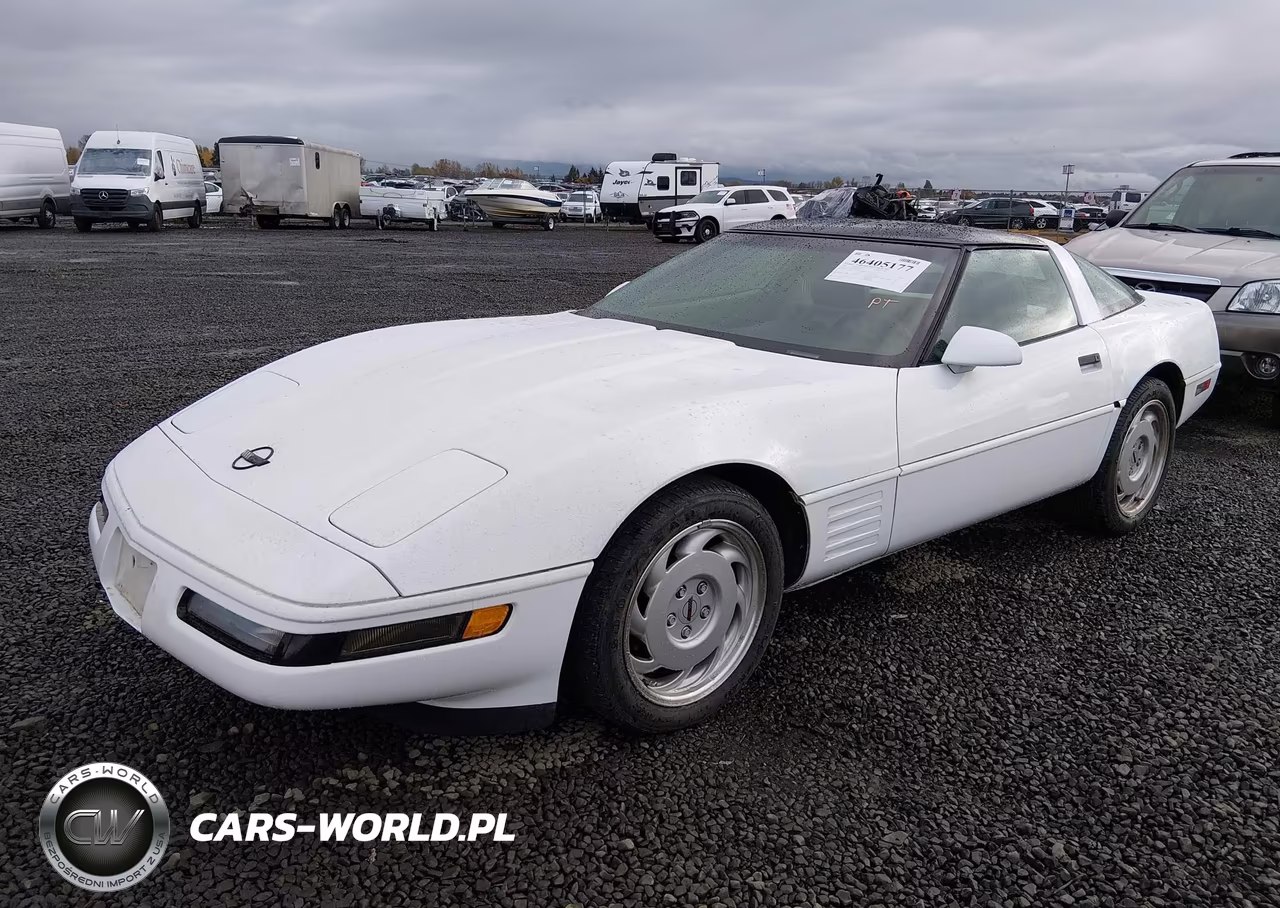 1991 Chevrolet Corvette VIN:1G1YY2387M5104964 - 2