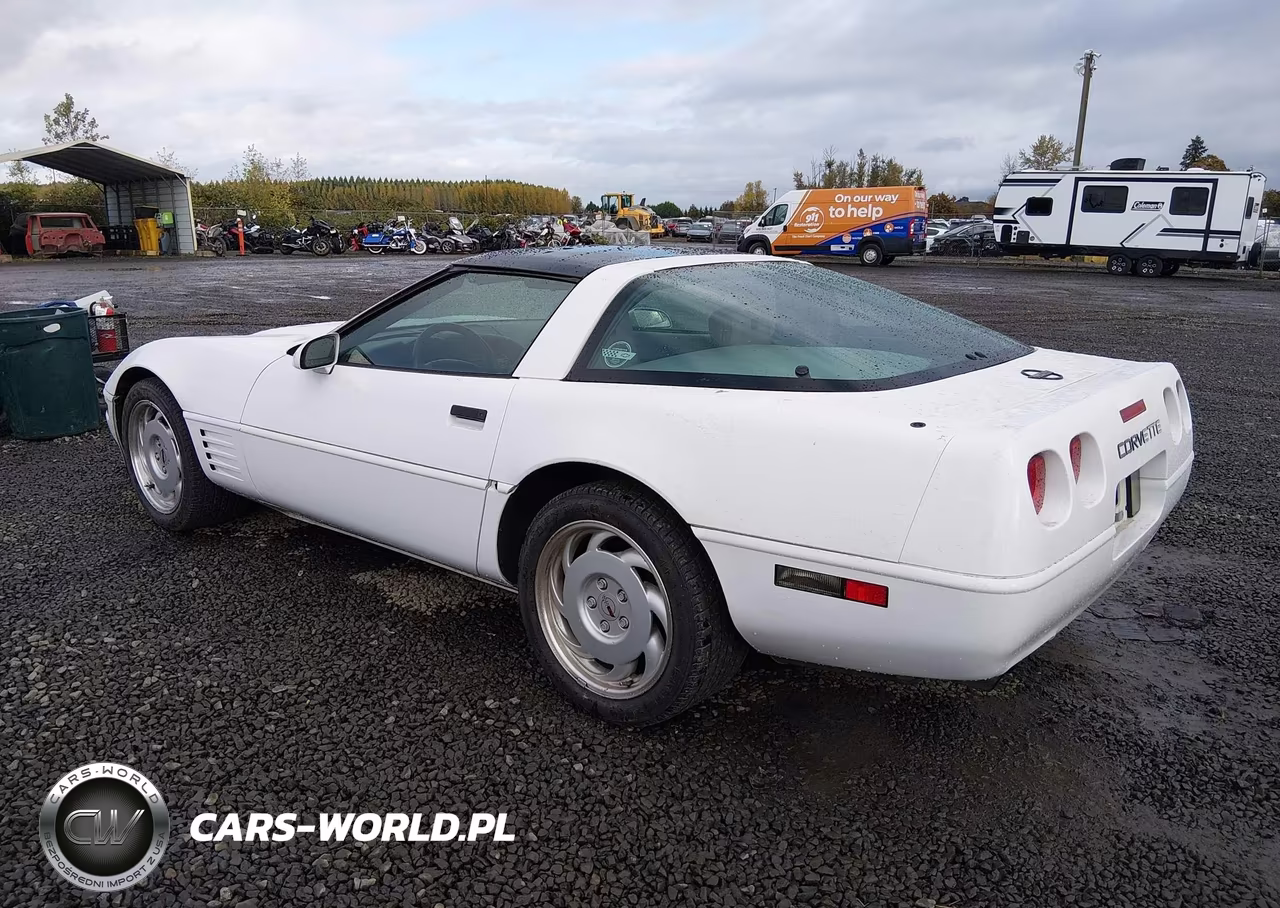 1991 Chevrolet Corvette VIN:1G1YY2387M5104964 - 3