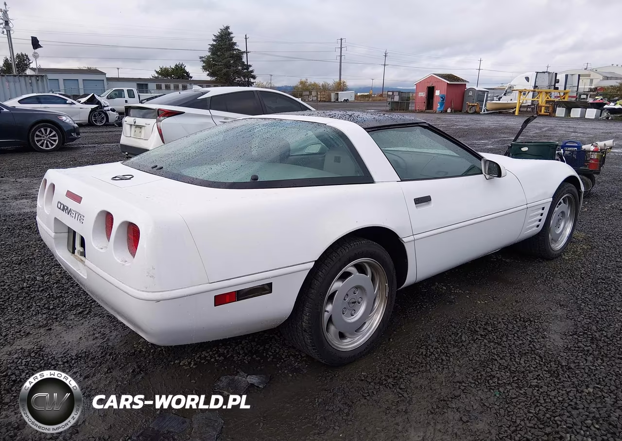 1991 Chevrolet Corvette VIN:1G1YY2387M5104964 - 4