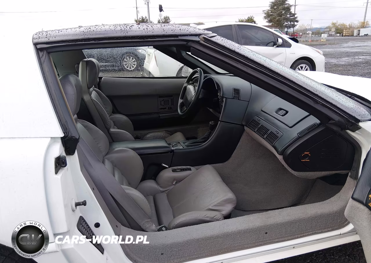 1991 Chevrolet Corvette VIN:1G1YY2387M5104964 - 5