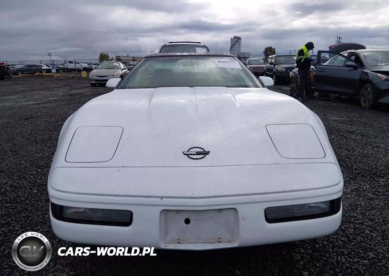 1991 Chevrolet Corvette VIN:1G1YY2387M5104964 - 6