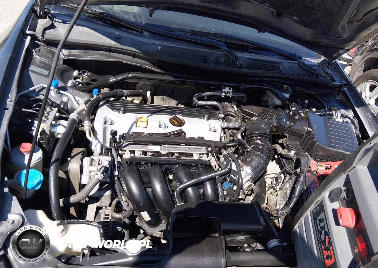 2010 Honda Accord 2.4 Ex VIN:1HGCP2F70AA194425 - 10