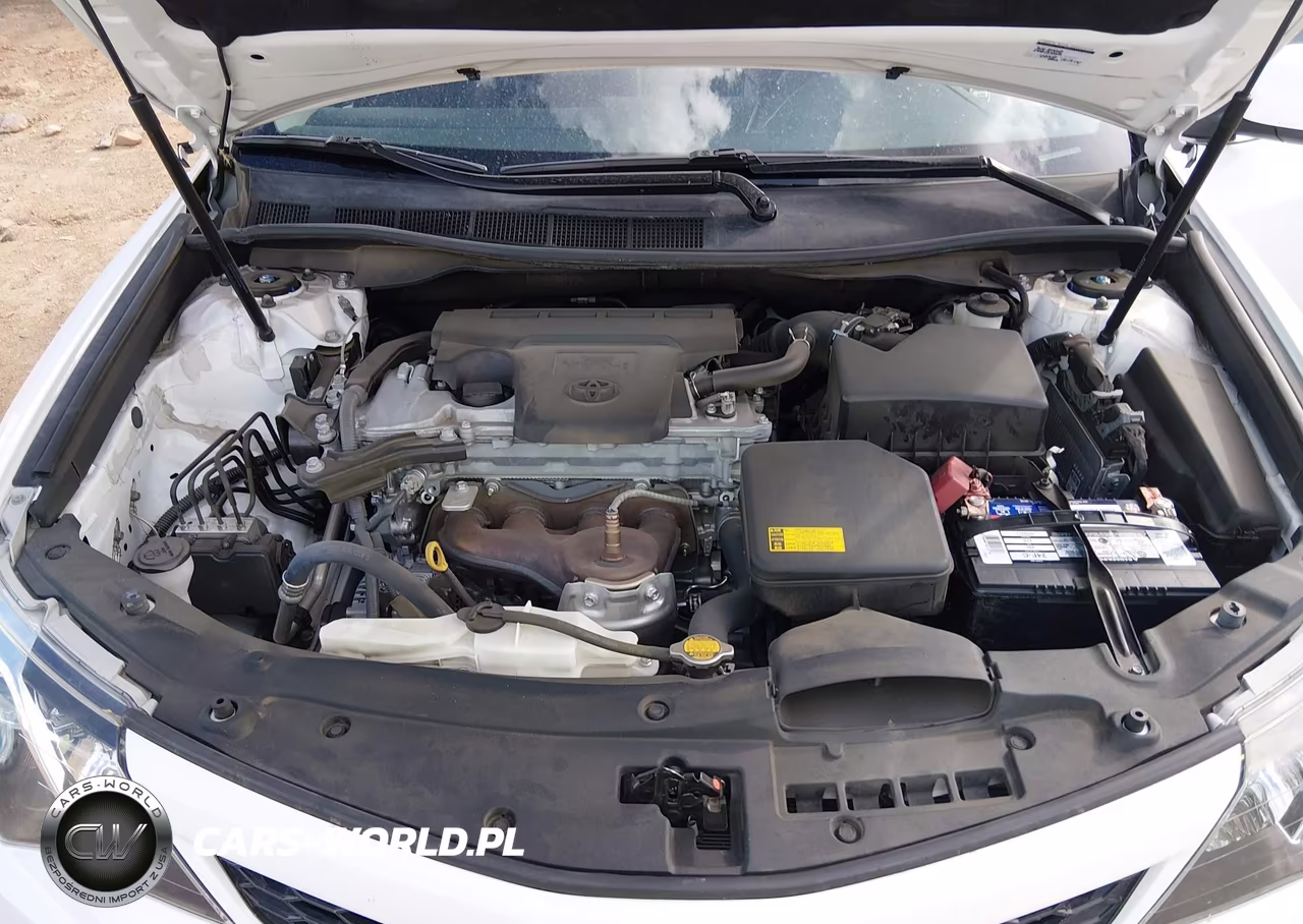 2013 Toyota Camry Se VIN:4T1BF1FK0DU704411 - 10