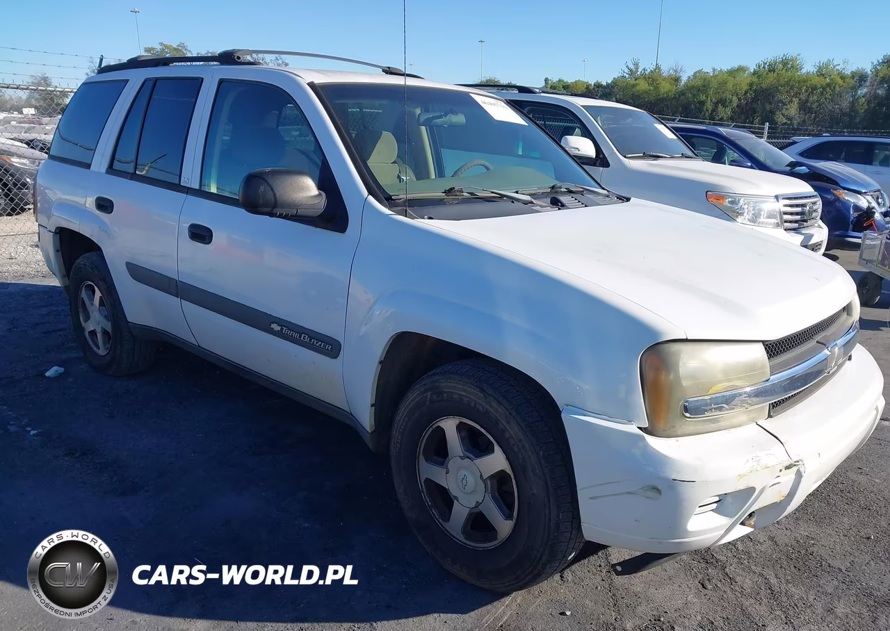 2004 Chevrolet Trailblazer Ls VIN:1GNDT13S142176875 - 1