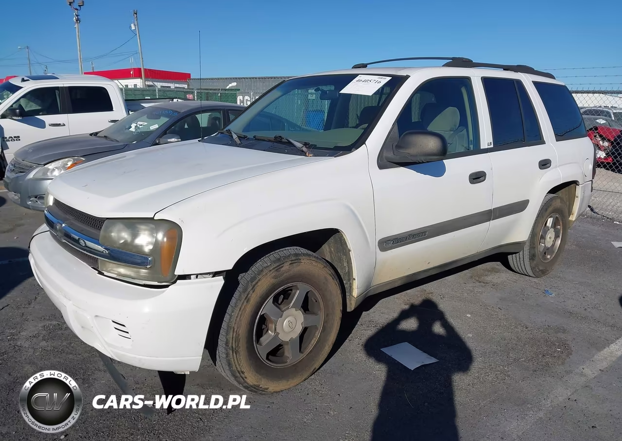 2004 Chevrolet Trailblazer Ls VIN:1GNDT13S142176875 - 2