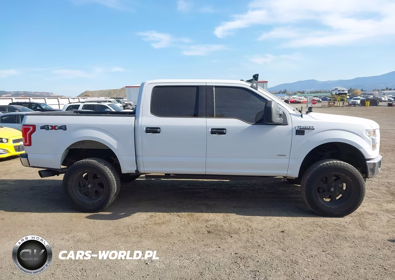 2016 Ford F-150 Xlt VIN:1FTEW1EG4GFA22896 - 13
