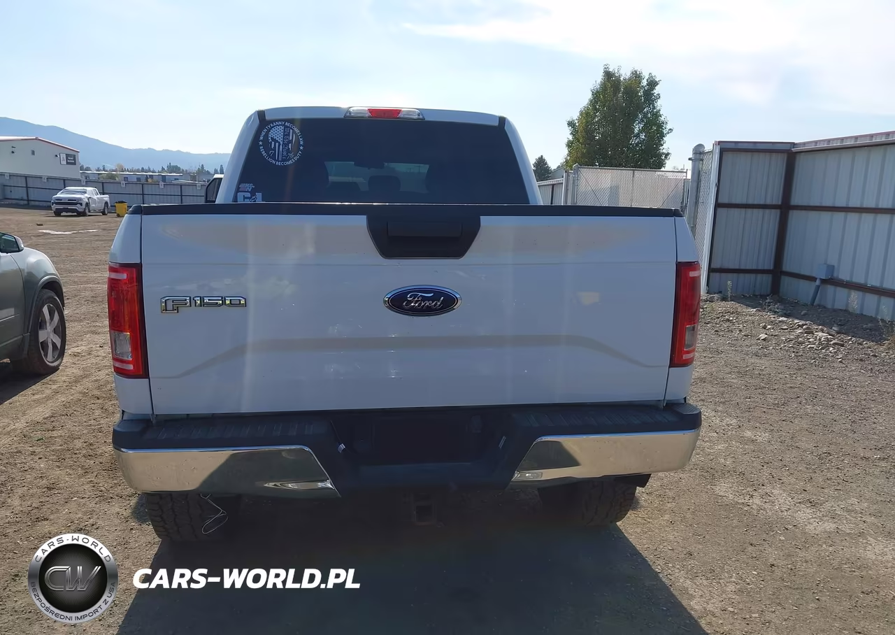 2016 Ford F-150 Xlt VIN:1FTEW1EG4GFA22896 - 16
