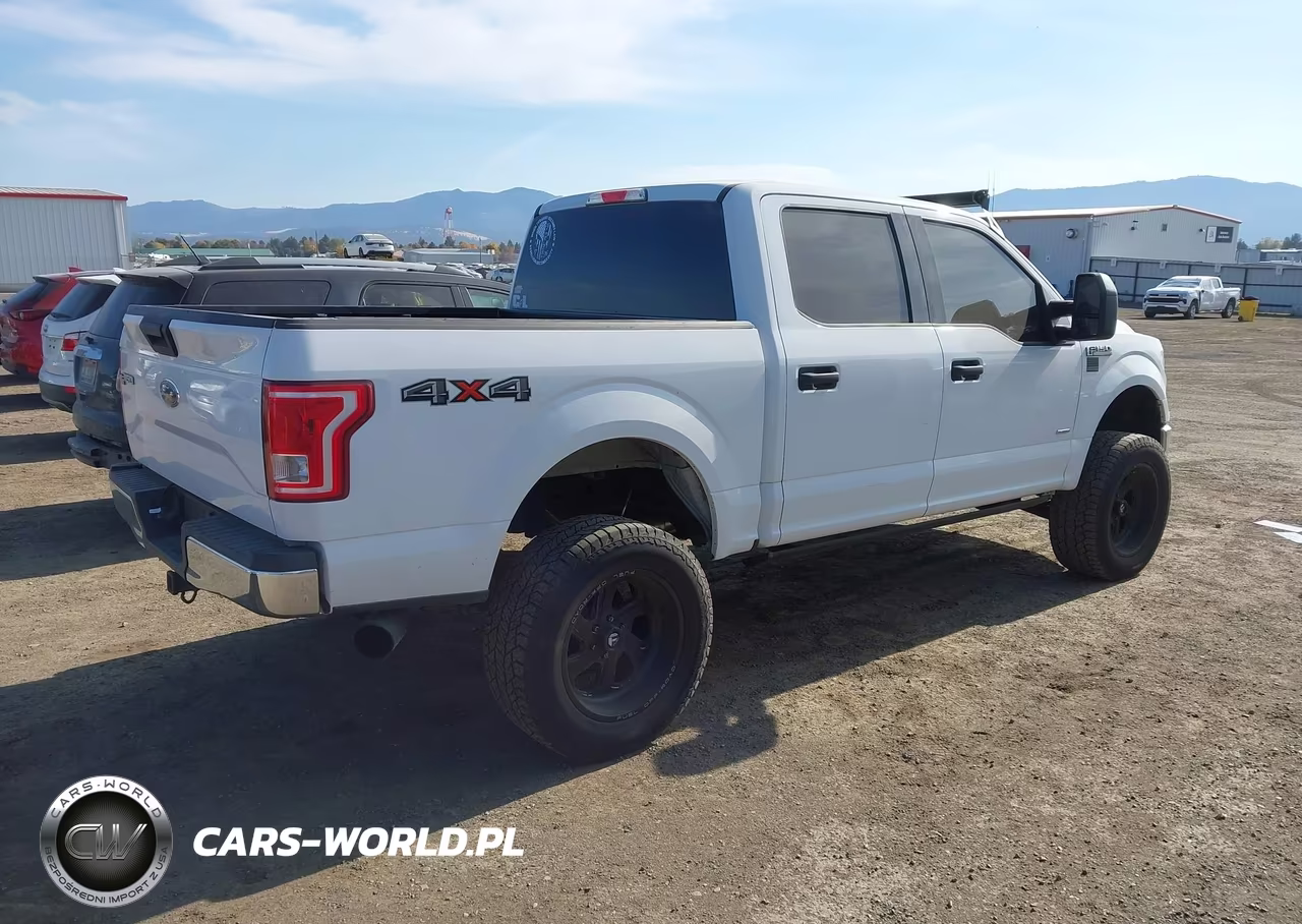2016 Ford F-150 Xlt VIN:1FTEW1EG4GFA22896 - 4