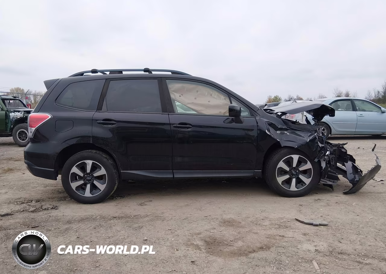 2017 Subaru Forester 2.5I Premium VIN:JF2SJAGC0HH810531 - 13