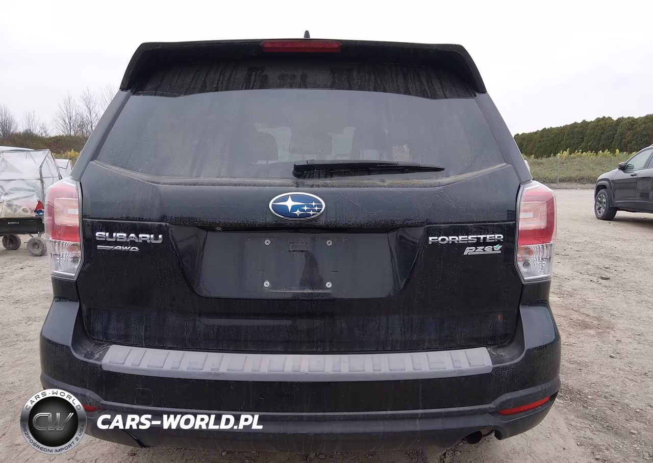 2017 Subaru Forester 2.5I Premium VIN:JF2SJAGC0HH810531 - 16