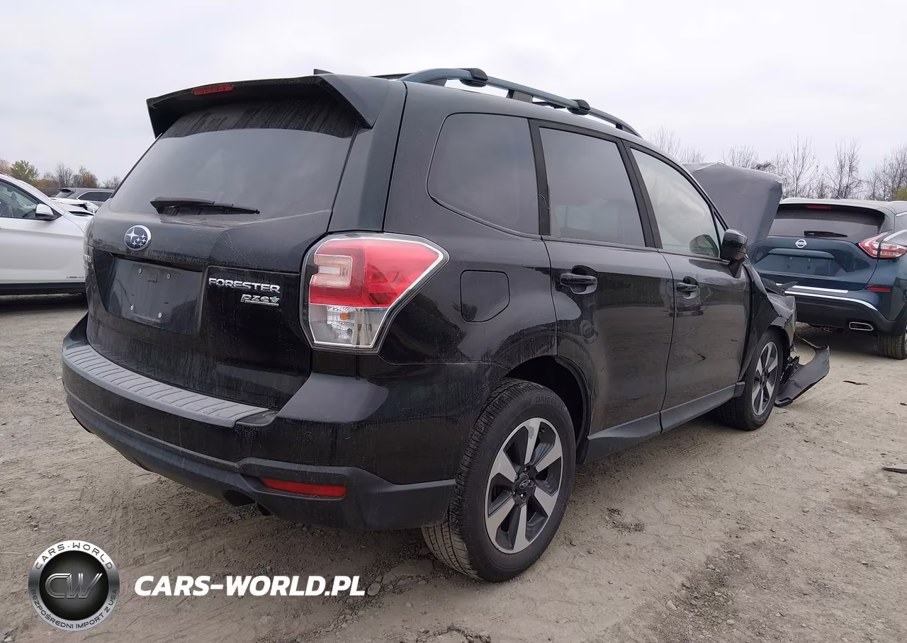 2017 Subaru Forester 2.5I Premium VIN:JF2SJAGC0HH810531 - 4