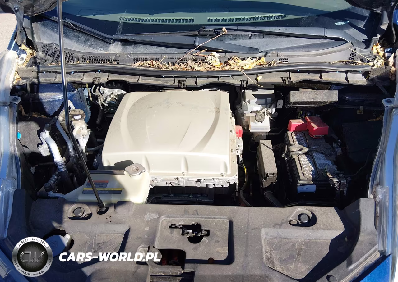 2016 Nissan Leaf Sv VIN:1N4BZ0CP3GC308950 - 10