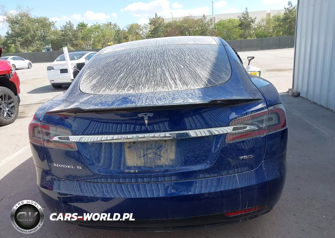 2018 Tesla Model S 100D-75D-P100D VIN:5YJSA1E24JF275198 - 16