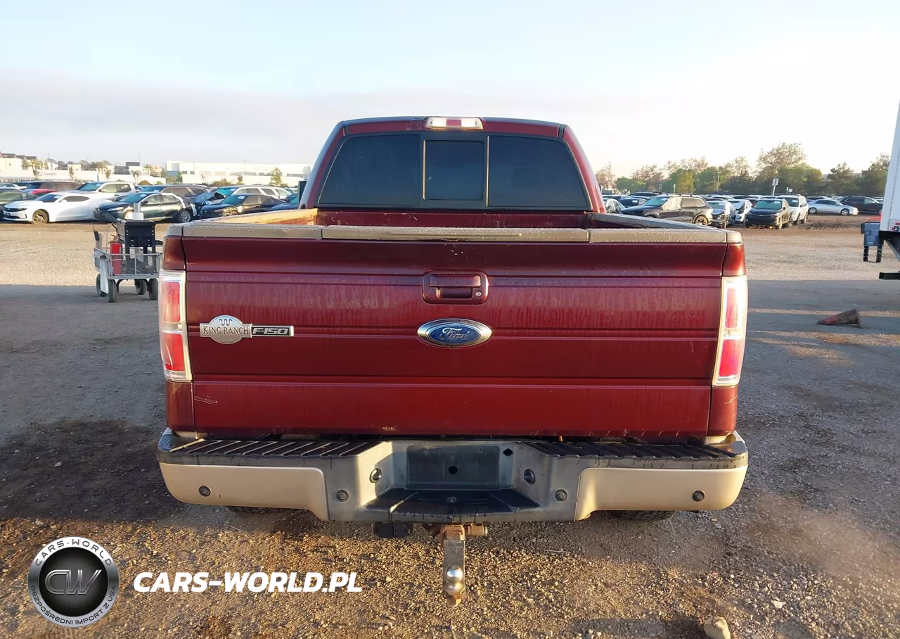 2009 Ford F-150 Fx4-King Ranch-Lariat-Platinum-Xl-Xlt VIN:1FTPW14V09KB02859 - 16