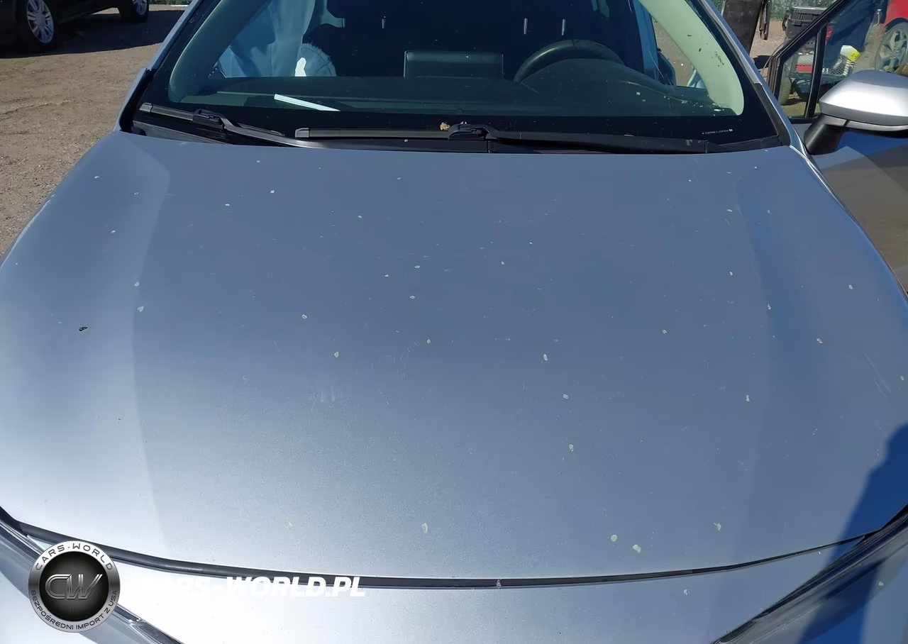 2020 Toyota Corolla Le VIN:JTDEPRAE1LJ035306 - 10