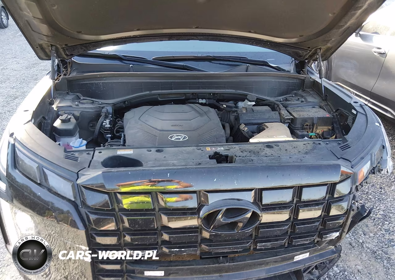 2025 Hyundai Palisade Sel VIN:KM8R2DGE1SU833209 - 10