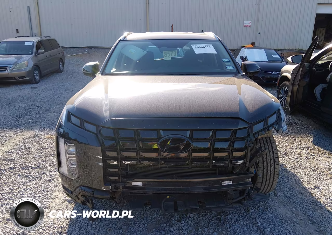 2025 Hyundai Palisade Sel VIN:KM8R2DGE1SU833209 - 13