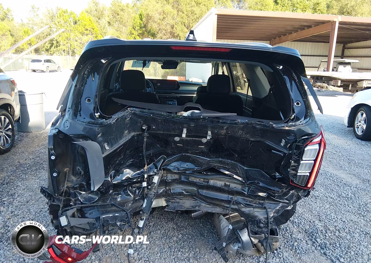 2025 Hyundai Palisade Sel VIN:KM8R2DGE1SU833209 - 17