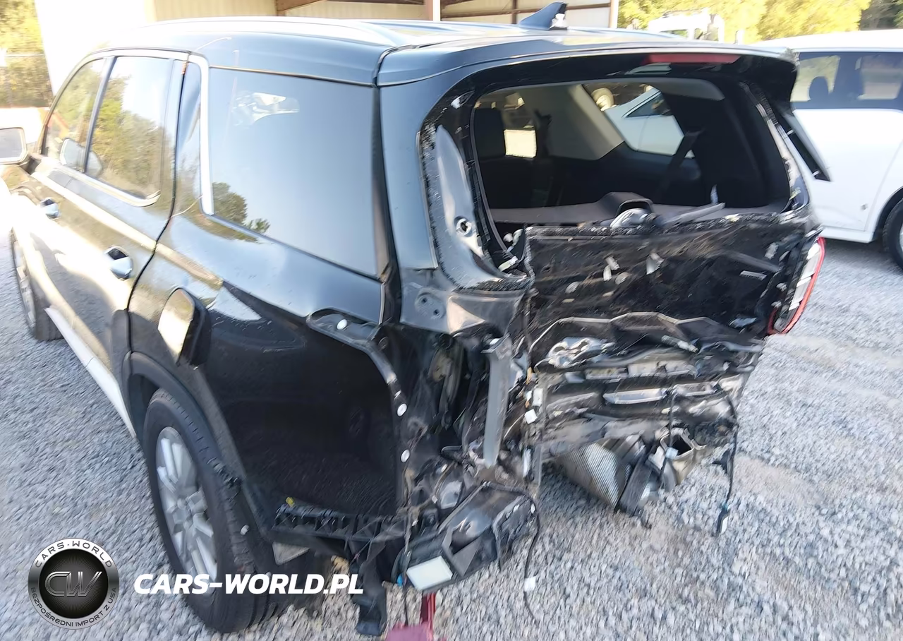 2025 Hyundai Palisade Sel VIN:KM8R2DGE1SU833209 - 19