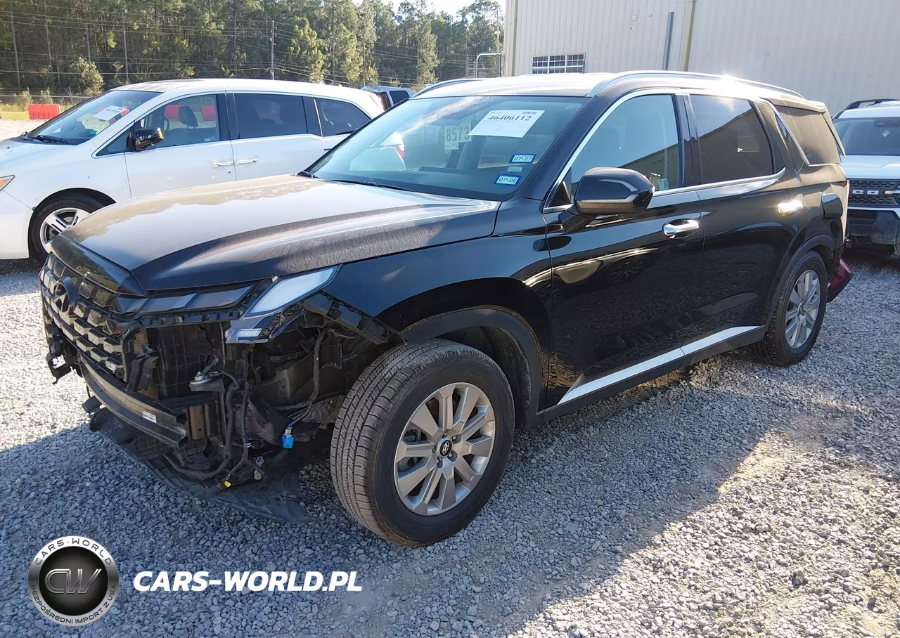 2025 Hyundai Palisade Sel VIN:KM8R2DGE1SU833209 - 2