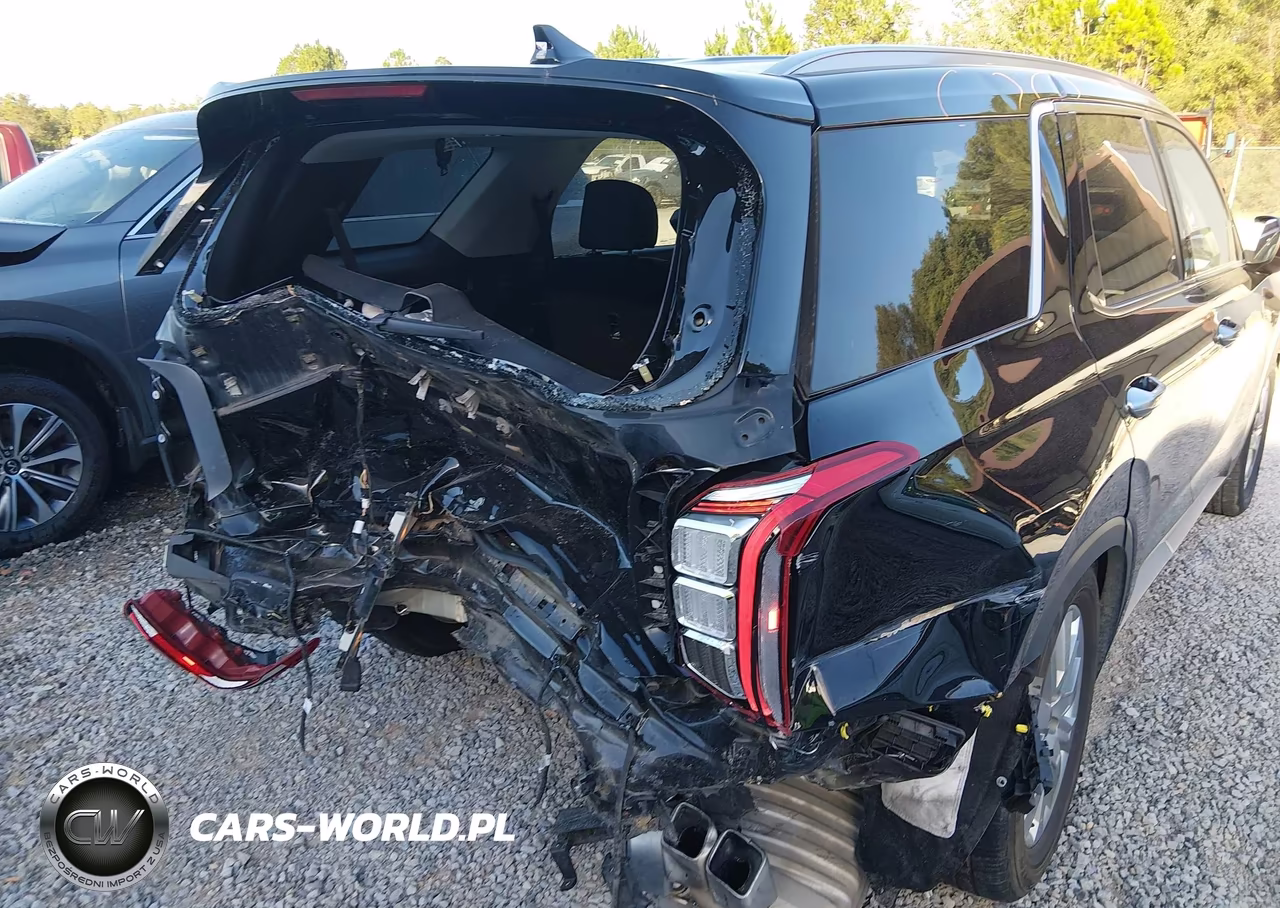 2025 Hyundai Palisade Sel VIN:KM8R2DGE1SU833209 - 20