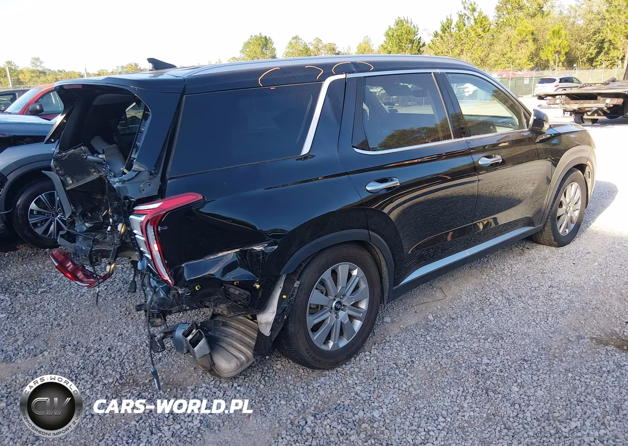 2025 Hyundai Palisade Sel VIN:KM8R2DGE1SU833209 - 4