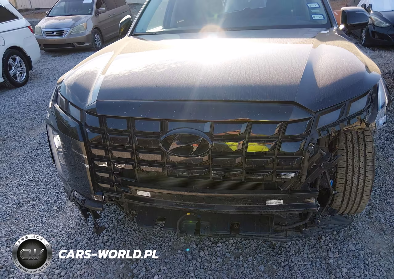 2025 Hyundai Palisade Sel VIN:KM8R2DGE1SU833209 - 6