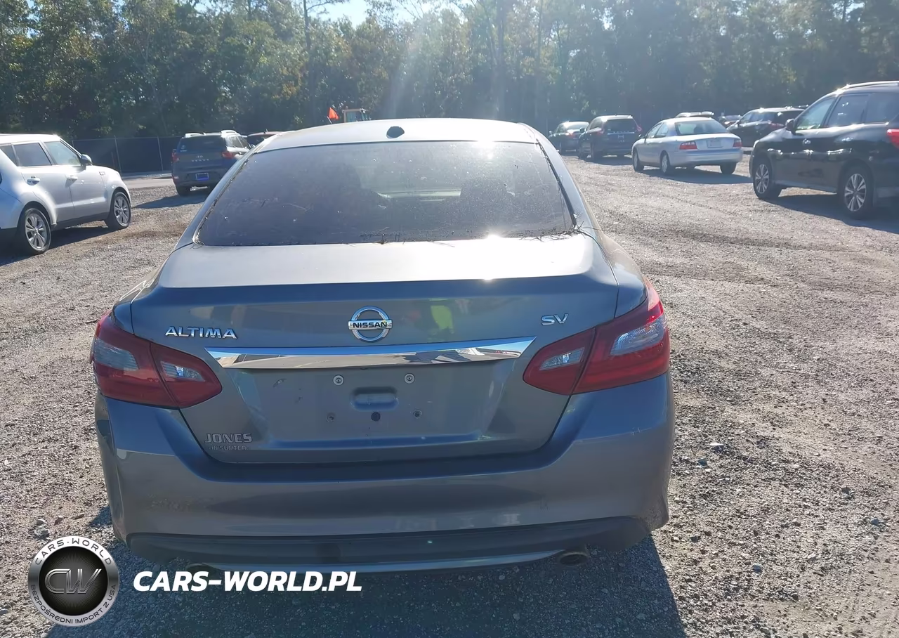 2018 Nissan Altima 2.5 Sv VIN:1N4AL3AP2JC244005 - 16