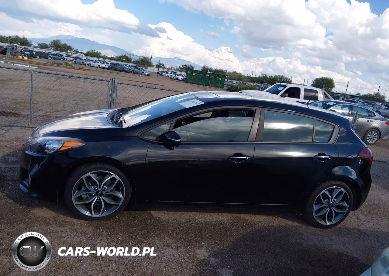 2016 Kia Forte Sx VIN:KNAFZ5A31G5499133 - 14