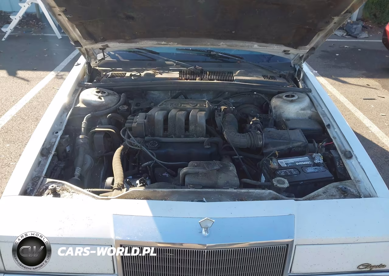 1991 Chrysler New Yorker C-Body Salon VIN:1C3XC66R8MD108416 - 10
