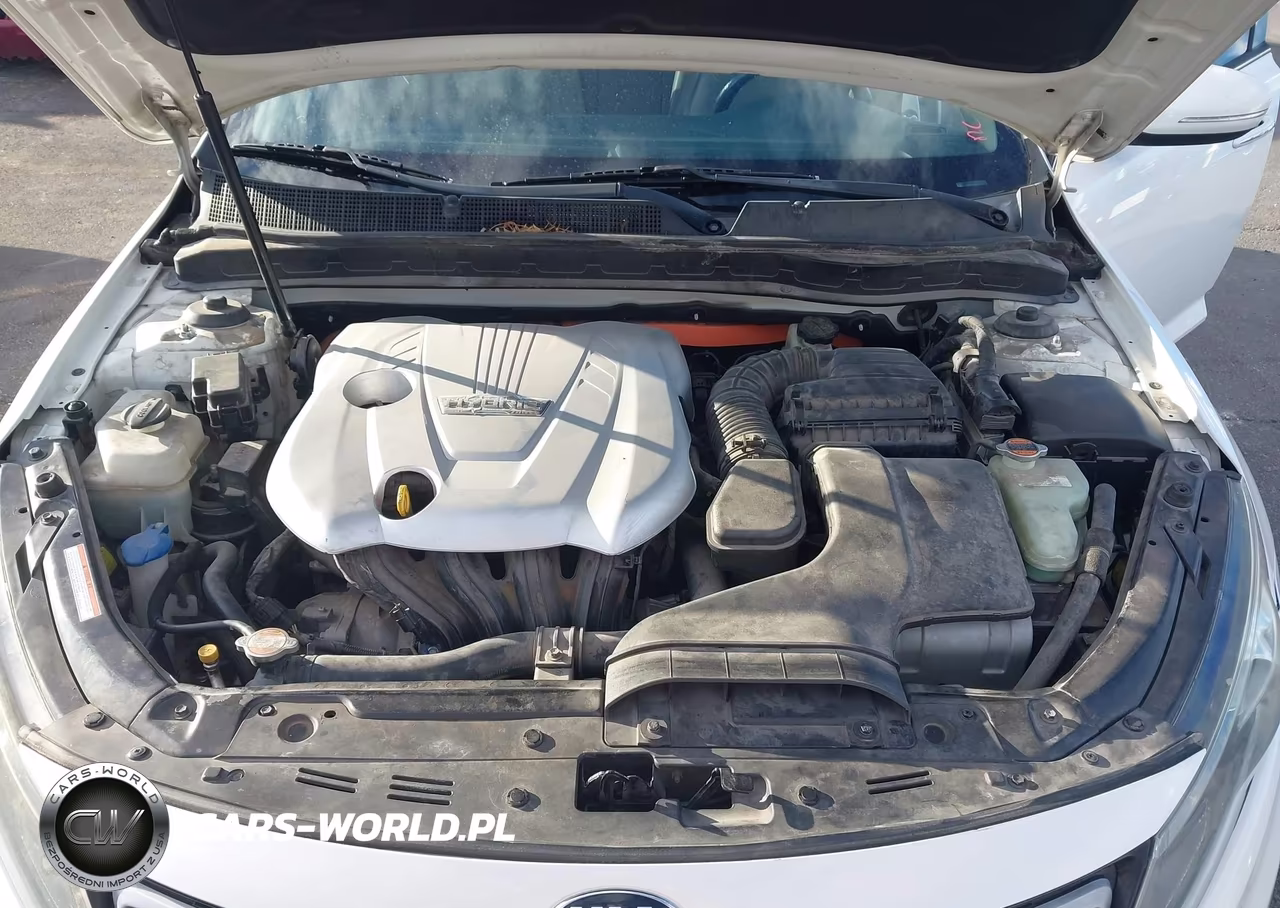 2011 Kia Optima Hybrid Ex VIN:KNAGM4AD5B5000249 - 10
