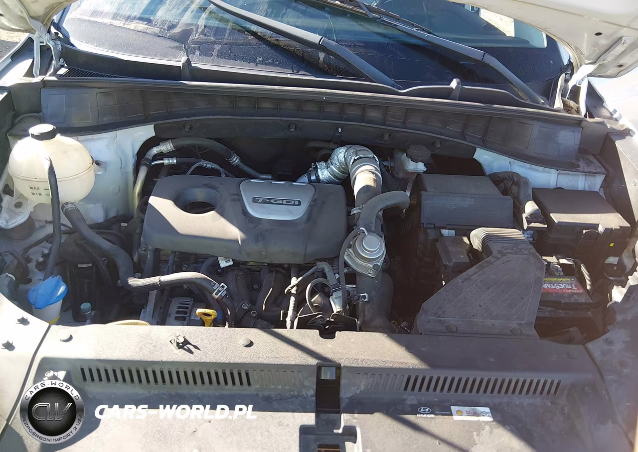 2017 Hyundai Tucson Sport VIN:KM8J33A22HU409677 - 10