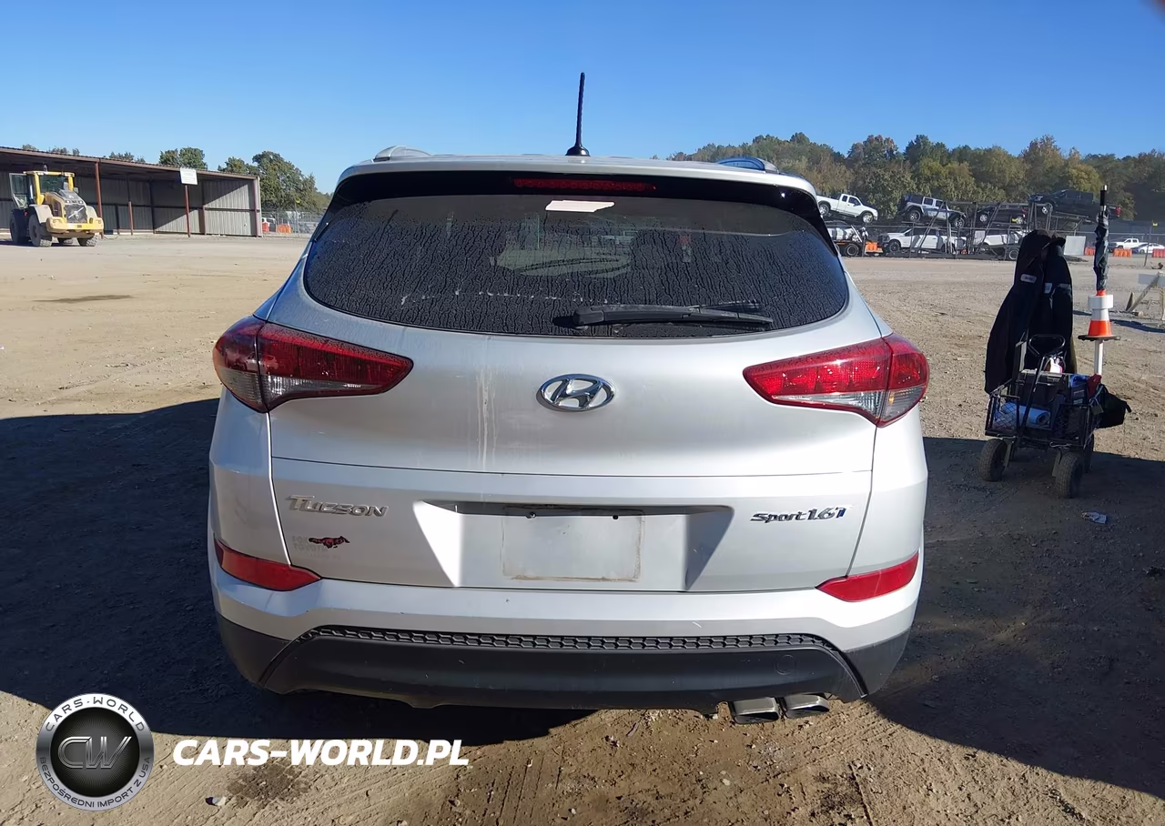 2017 Hyundai Tucson Sport VIN:KM8J33A22HU409677 - 16