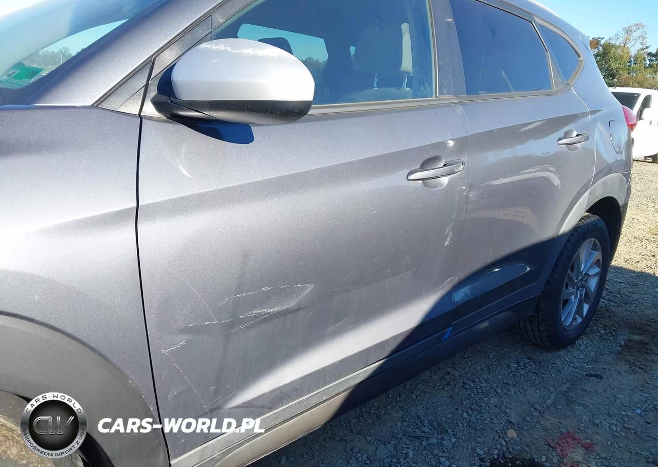 2016 Hyundai Tucson Se VIN:KM8J33A45GU129087 - 12