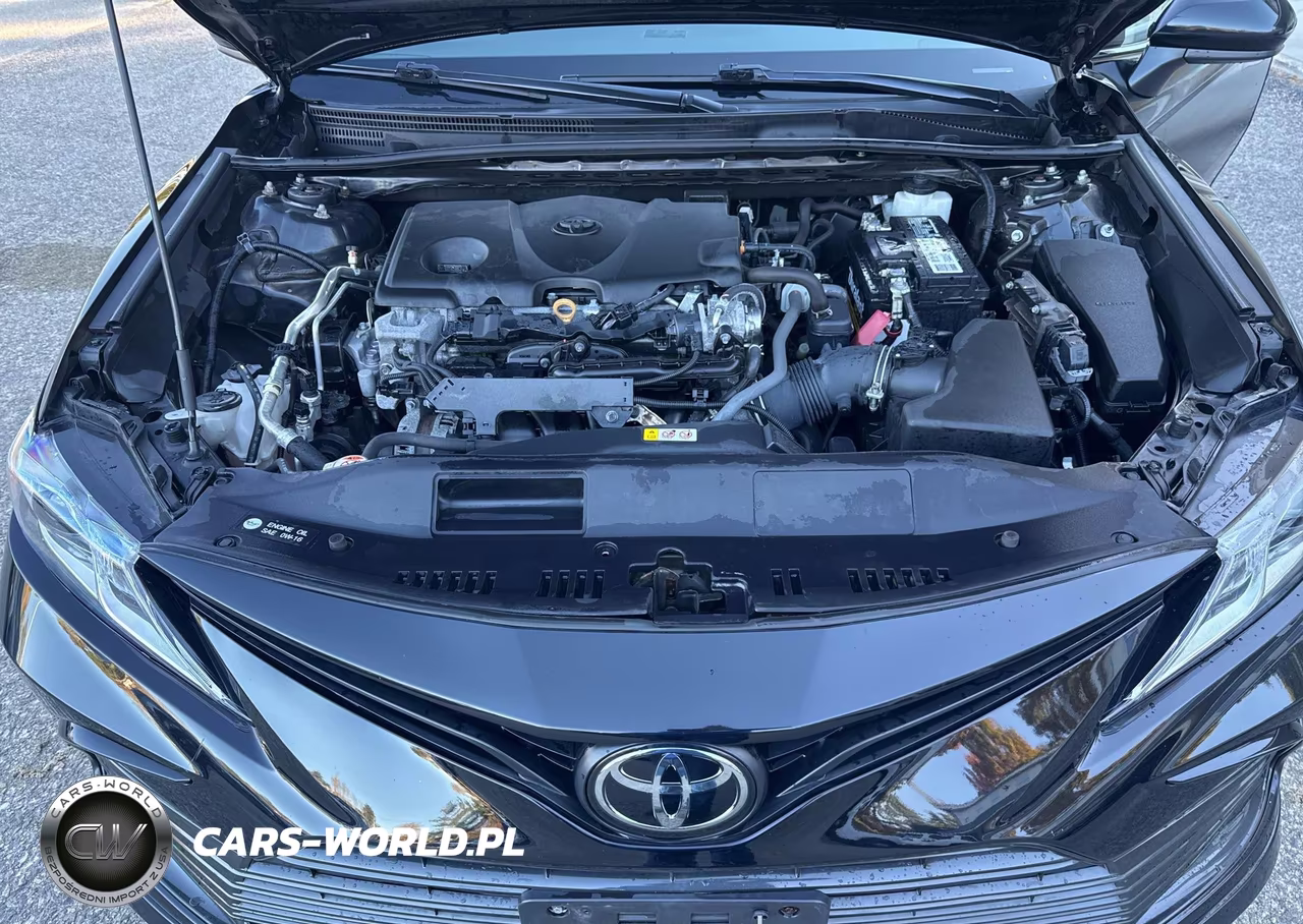 2023 Toyota Camry Le VIN:4T1C11BK5PU105727 - 10