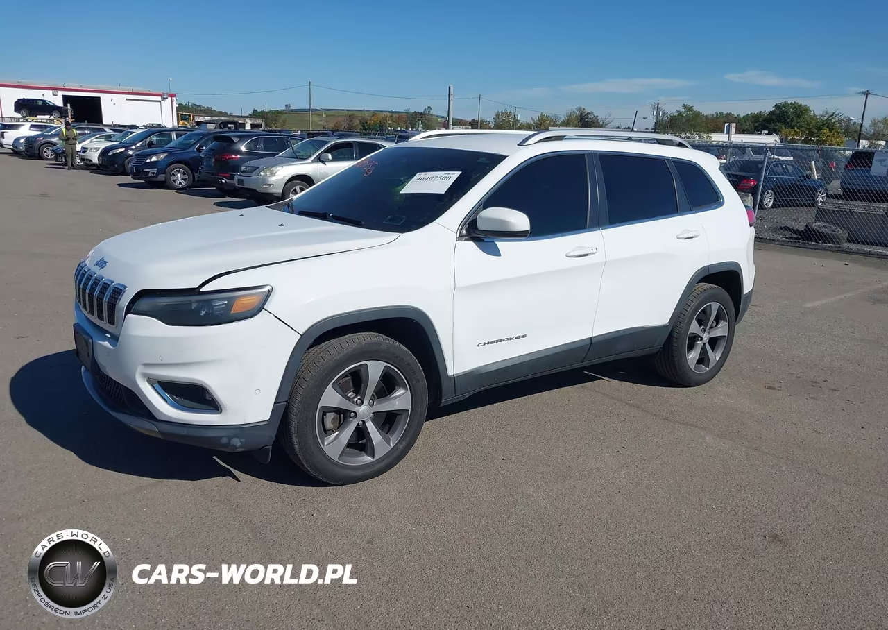 2019 Jeep Cherokee Limited 4X4 VIN:1C4PJMDX7KD317036 - 2