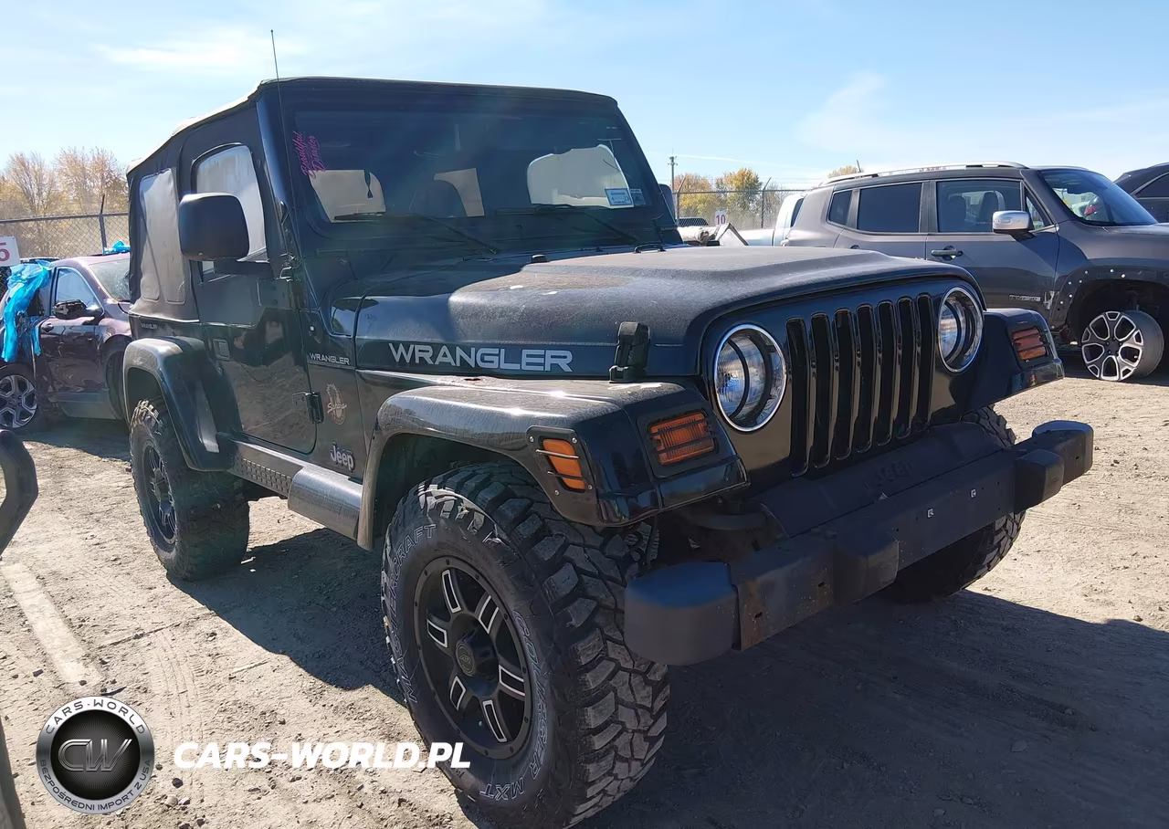2001 Jeep Wrangler Se VIN:1J4FA29PX1P365355 - 1