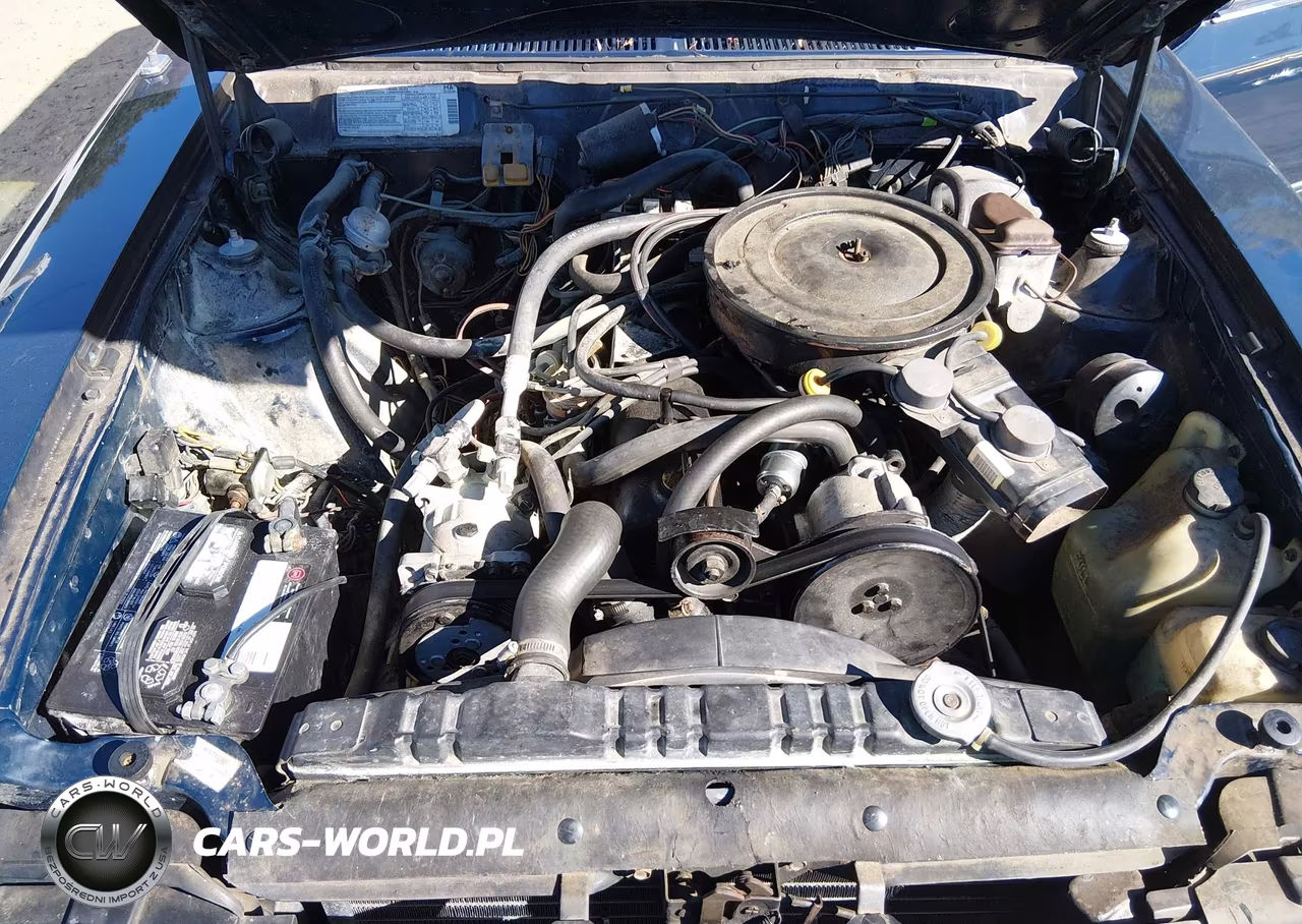 1982 American Motors Concord Dl VIN:1AMCA0554CK131062 - 10